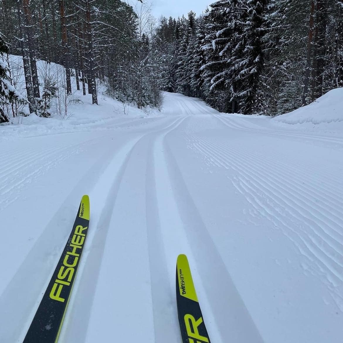 Längdskidåkning